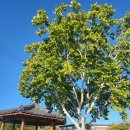 광덕1리경로당 이미지