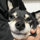 똘이PC방 이미지