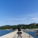 (주) 소모 송탄주유소 | 26.1.3 ~ 26.3.20 :: 일기 가져오기! 아임백!!