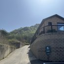 행복한횟집펜션 | 가평애견펜션 내돈내산 찐후기 감성신상숙소 반려인이라면 완전 추천