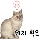 럭키뽑기방 이미지