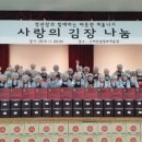 인삼사랑