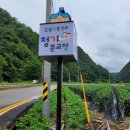 일월초등학교(청기분교) 이미지