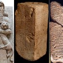 (주)나도주개 이미지