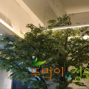 느티나무피시방 이미지