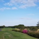 스프링데일 골프&리조트 이미지