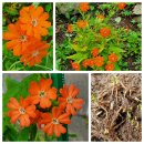 효재농장 이미지