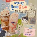 빽다방용인수지신봉점 | [빽다방 신메뉴] 키링 사러 갔다가 음료에 실망한 빽다방 X 춘배 콜라보 솔직 후기 키링영상O