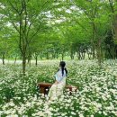 꽃향기 머무는 곳 이미지