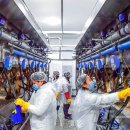 현대축산(1) 이미지