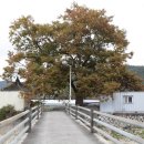 내서읍689 이미지