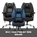 슈퍼아레나PC방 | 제닉스 ARENA PRIME 메쉬 의자, 허리 통증 끝내주는 시원한 정착템 후기