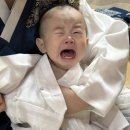👶🏻 천안 한옥스튜디오 돌스냅 |설화원 설화두송이 후기