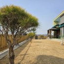 더블스테이또또멍애견펜션6호
