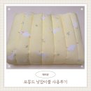 아이들세상어린이집 | [내돈내산] 어린이집 낮잠이불 추천, 포몽드 일체형 사계절용 사용 후기
