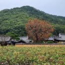 화원노래연습장 이미지