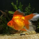 채형농장 이미지