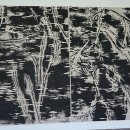 대구보건대학교 이미지