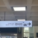 ㈜제주원렌트카 | 🚗 제주도 여행 필수, 제주원렌트카 가격과 예약부터 반납까지 리얼 후기 ✨