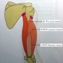 더제뉴인짐