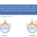 서울시원의원 이미지