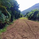 엄정보건지소 이미지