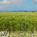 대한민국무공수훈자회제주특별자치도지부 이미지