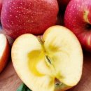 회진농장 이미지