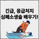 생명을 살리는 심폐소생술(CPR) | 심정지 순간, 생명을 살리는 심폐소생술(CPR) 완벽 가이드
