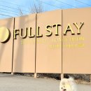 스테이 휴 | 홍천 애견동반펜션 독채 글램핑 추천 풀스테이 스테이펫 홍천 스테이휴 객실 후기