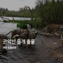 메종동물병원 이미지