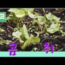 도릉농원 이미지