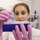 백산개발 이미지