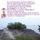 세상에서 가장 수승한 말 ‘나무아미타불 관세음보살’ -혜인스님- 이미지