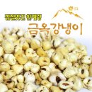 금옥