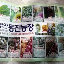 차동진농장 이미지