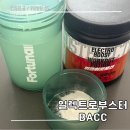 일렉트로부스트
