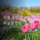 초안산 하늘꽃정원 | 서울 초안산 하늘꽃정원 철쭉과 봄꽃이 물든 5월 꽃동산