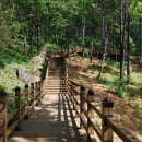 용인자연휴양림4 이미지