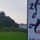 도림장어 이미지