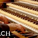 바흐(J.S.Bach)/비발디(Vivaldi) 오르간 협주곡 d단조, BWV 596 이미지