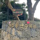 수목원 입구 | 제주도 동백꽃 명소 동백수목원 ,카페볼고롱, 볼고롱동백