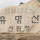 고개너머 | 유명산 11월 배너머고개 등산코스 후기 (등산 난이도, 주차, 등산시간)