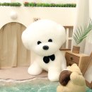 새콤달콩 이미지