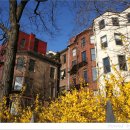 브루클린 이미지