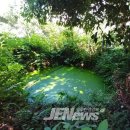 대규모 도시숲 공용주차장 이미지