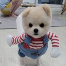 부부손세차장 이미지