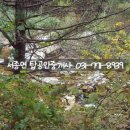 정배공인중개사사무소 이미지