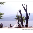 두물머리민박 이미지