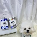 펫라이프 | 만두가 소개하는 강아지 영양제 -!! 라이프펫 멀티밸런스 후기 ๑˃̶͈̀Ⱉ˂̶͈́๑